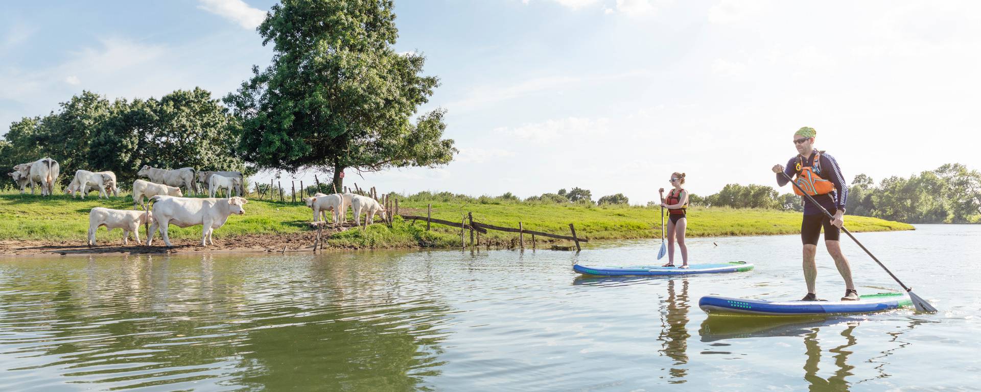 People on paddles on the Sarthe river