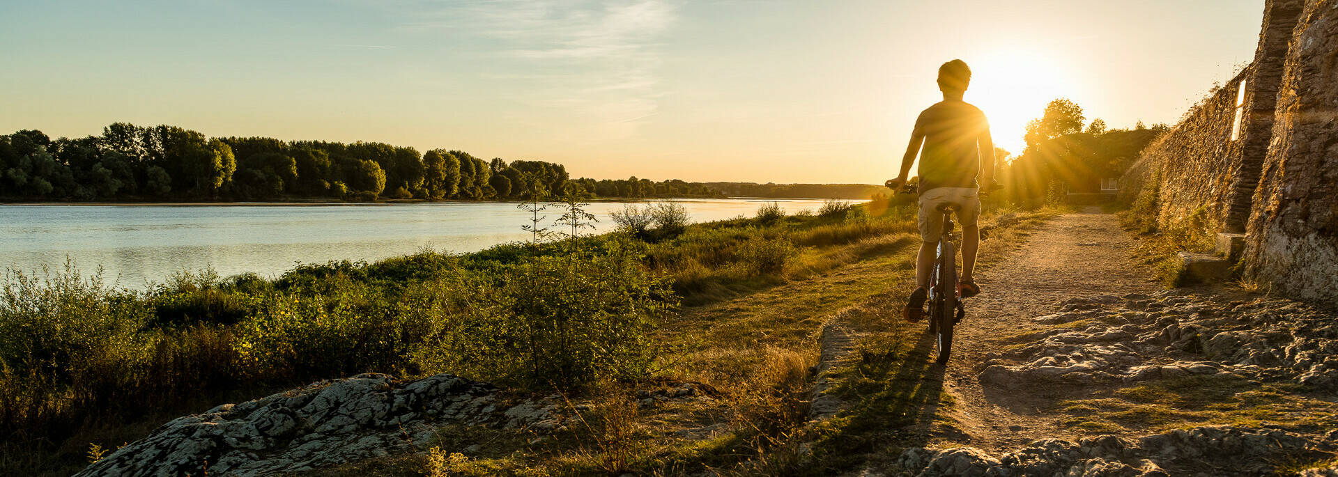 Stroll along the Loire on your bike in Sainte-Gemmes-sur-Loire