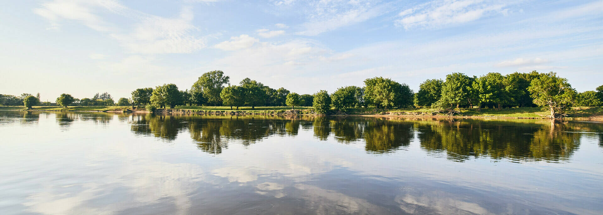 Mirror effect with the reflection of the vegetation in the Loire