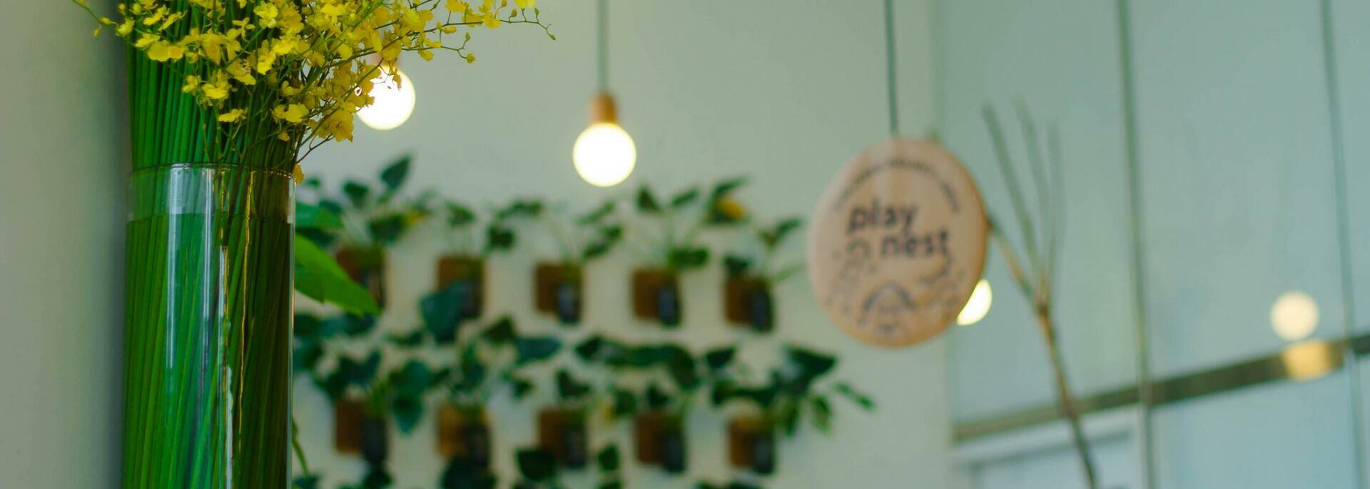 Fleurs et plantes dans une boutique