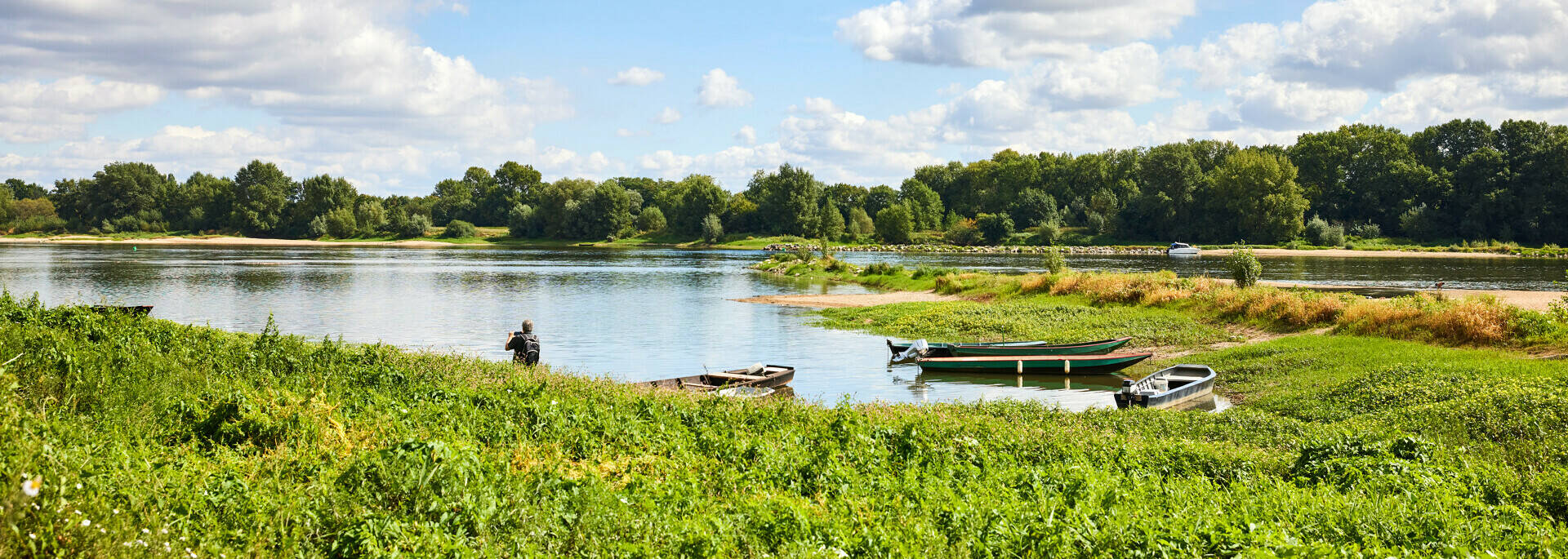 Les bords de Loire, la Pointe