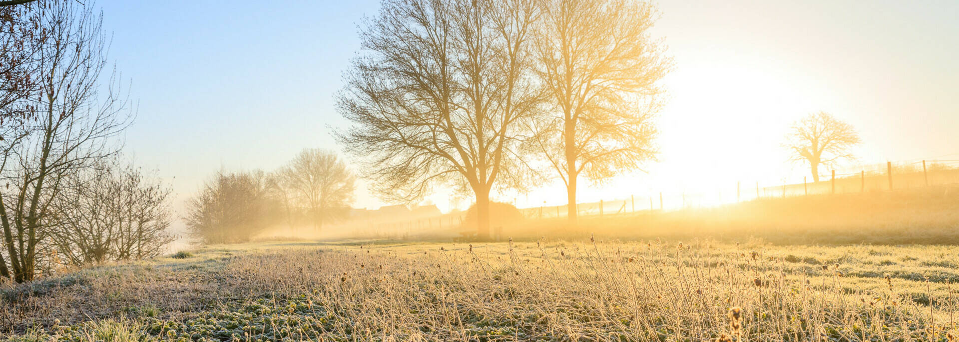 Winter hikes and walks