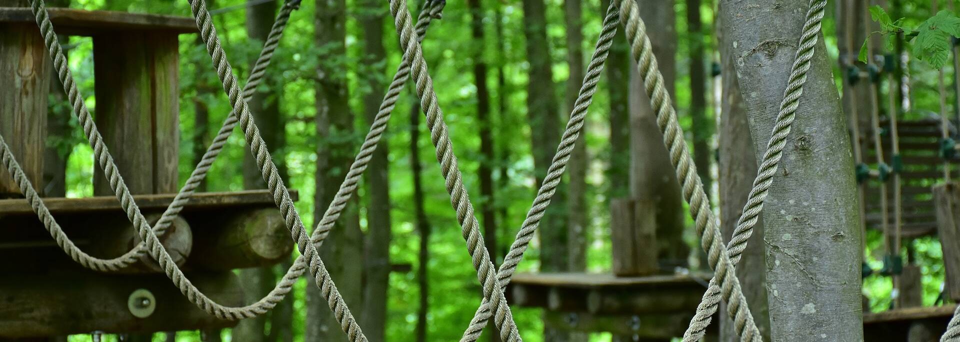 Treetop course
