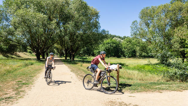 Cyclistes en gravel et bikepacking au cœur du parc de Balzac