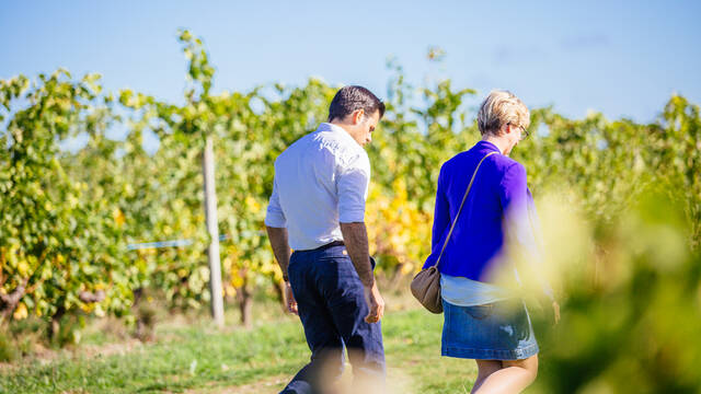 Route des vins de la Loire © Les Conteurs