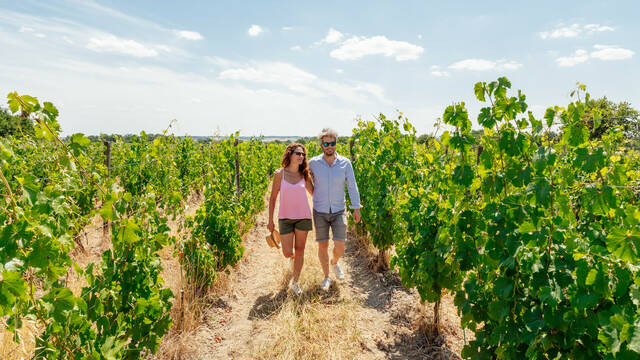  Weekend in the heart of the Loire Valley vineyards
