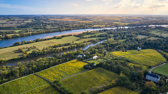 Aerial view of the vineyards of Savennières and the Loire, in early autumn