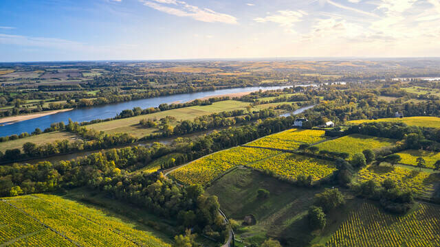 Aerial view of the Savennières vineyards and the Loire