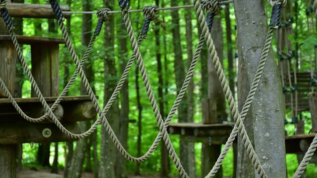 Treetop course