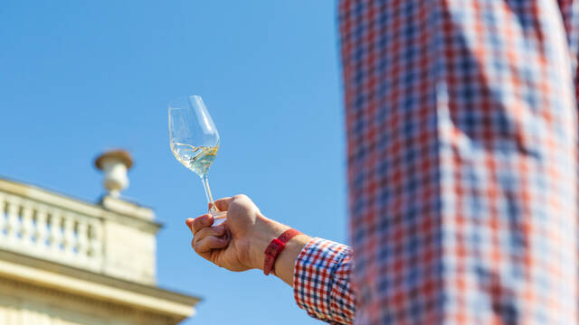 Visits to wineries