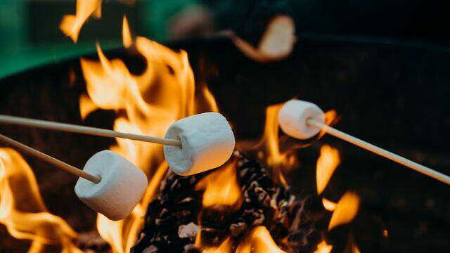 Campings en Angers © Léon Contreras - Unsplash
