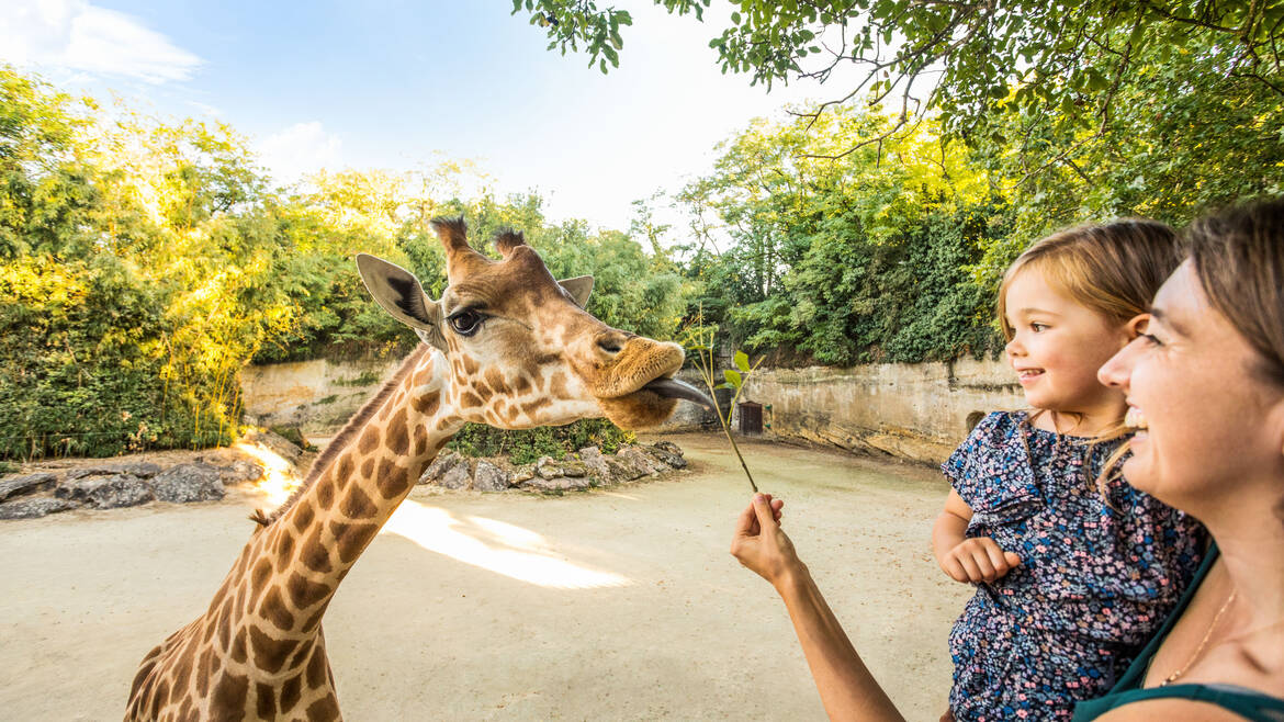 Mother and daughter in front of a giraffe
