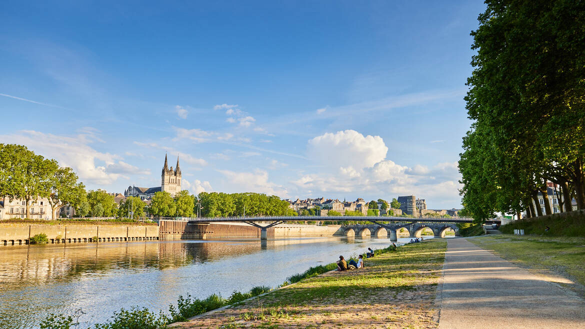 Bords de Maine à Angers