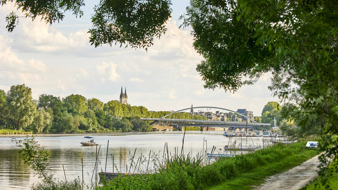 Vue sur la Maine et le pont des Arts d'Angers, en bord de Maine 