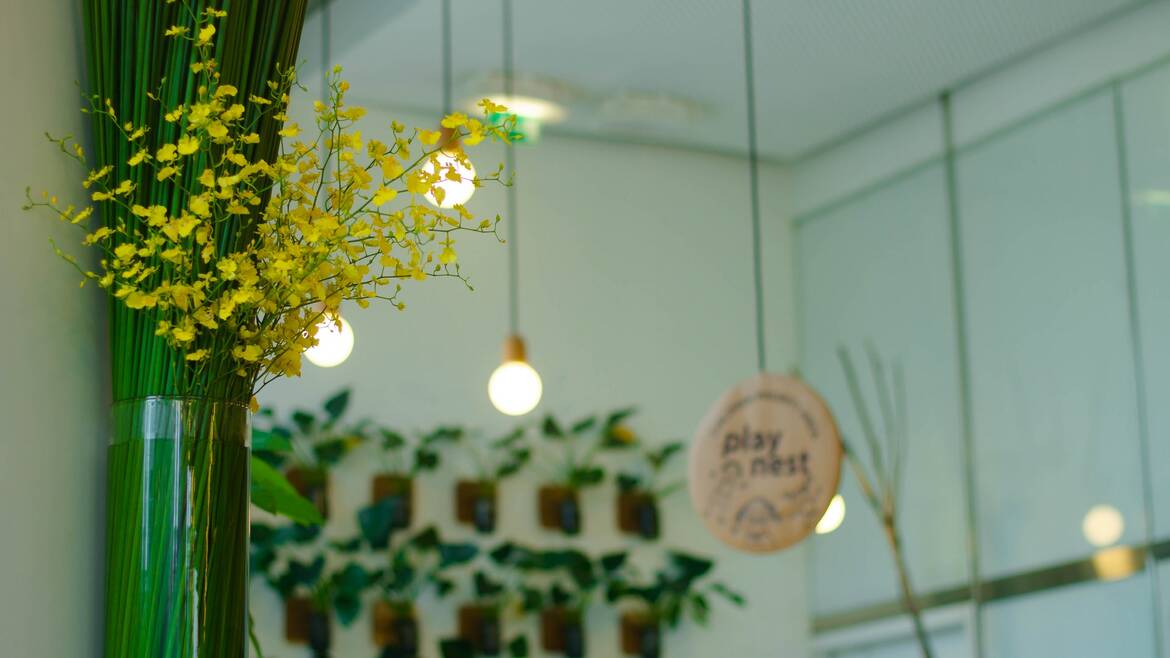 Fleurs et plantes dans une boutique
