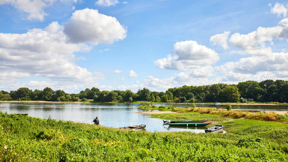 Les bords de Loire, la Pointe