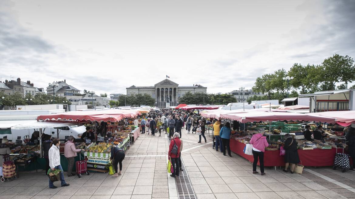 Place Leclerc market in Angers