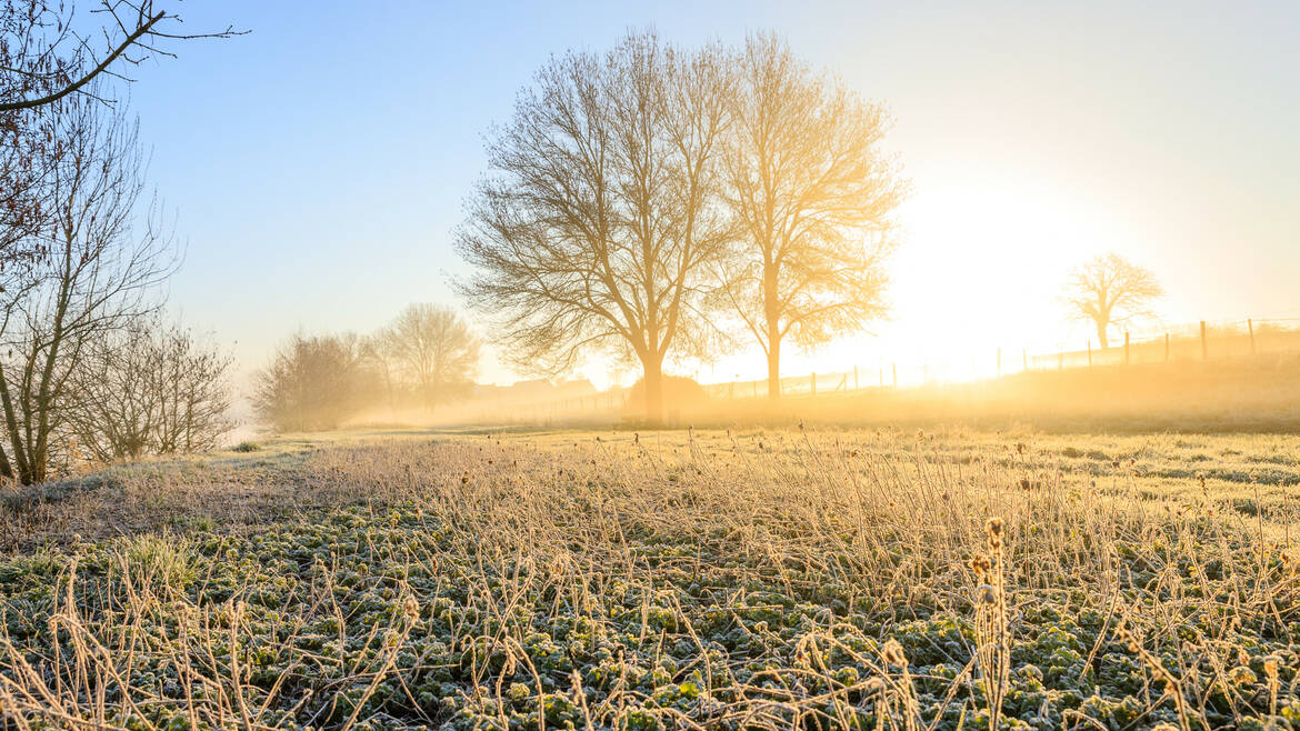 Paseos y excursiones de invierno