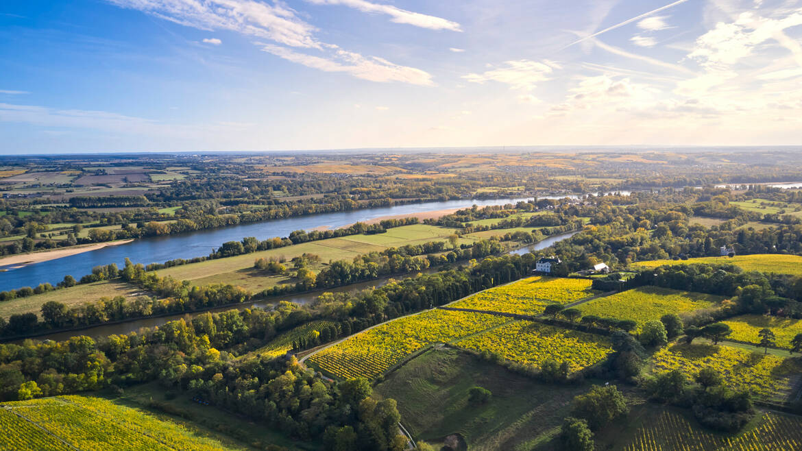 Vue arienne du vignoble de Savennières et de la Loire
