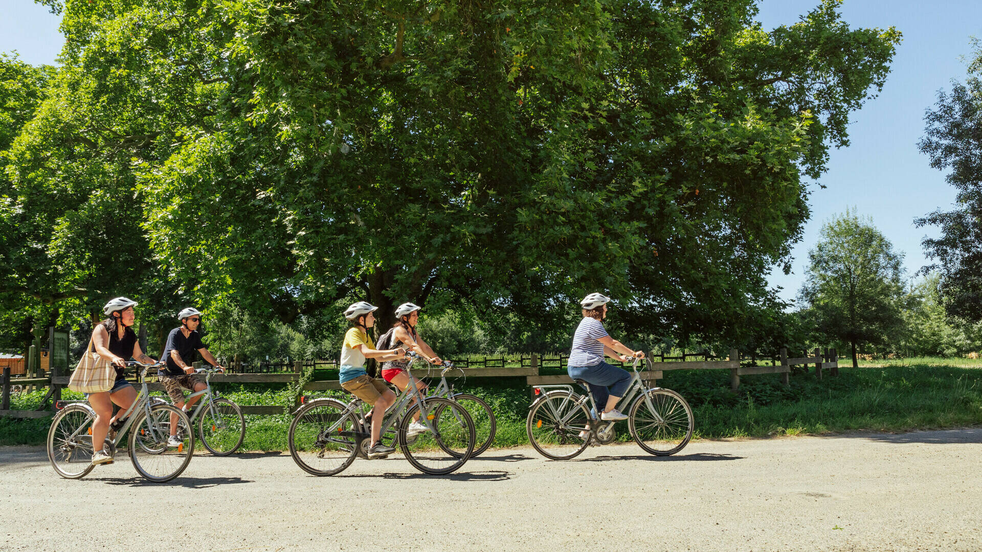 Several people cycling in nature on a path
