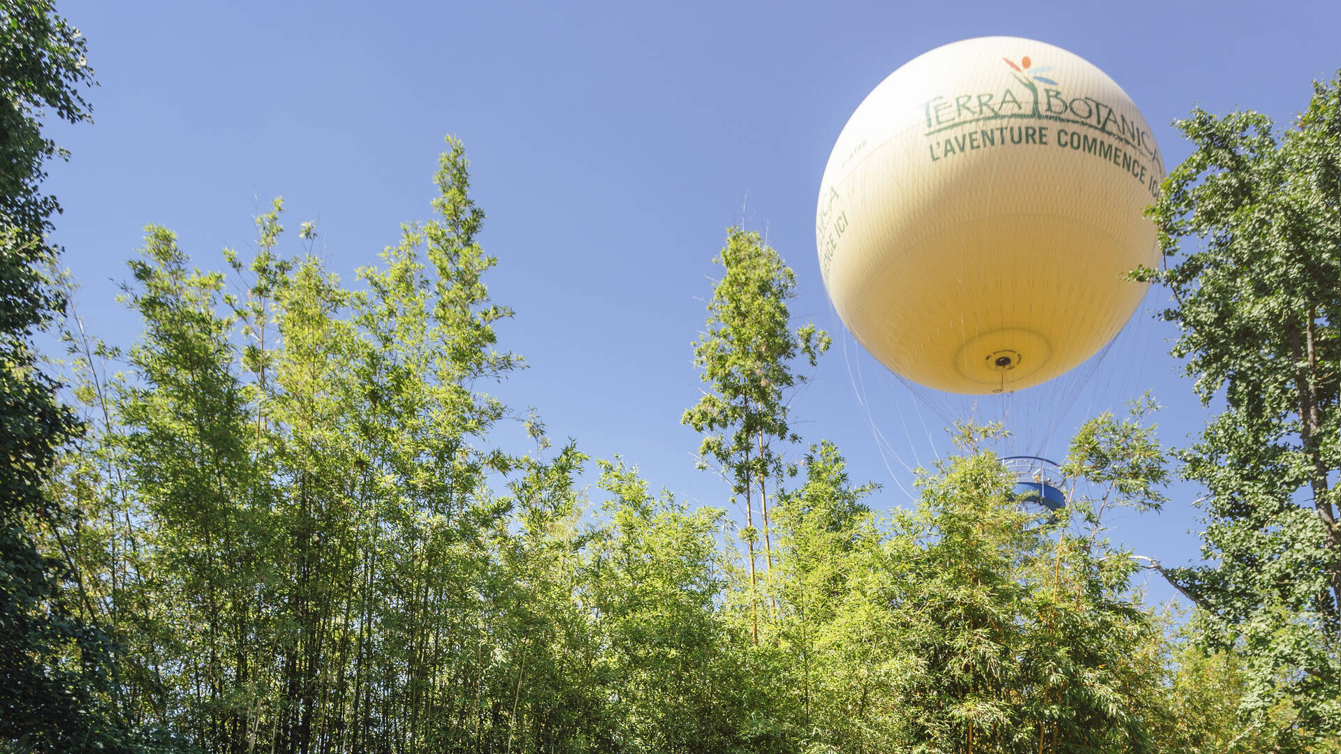 Balloon of the park Terra Botanica