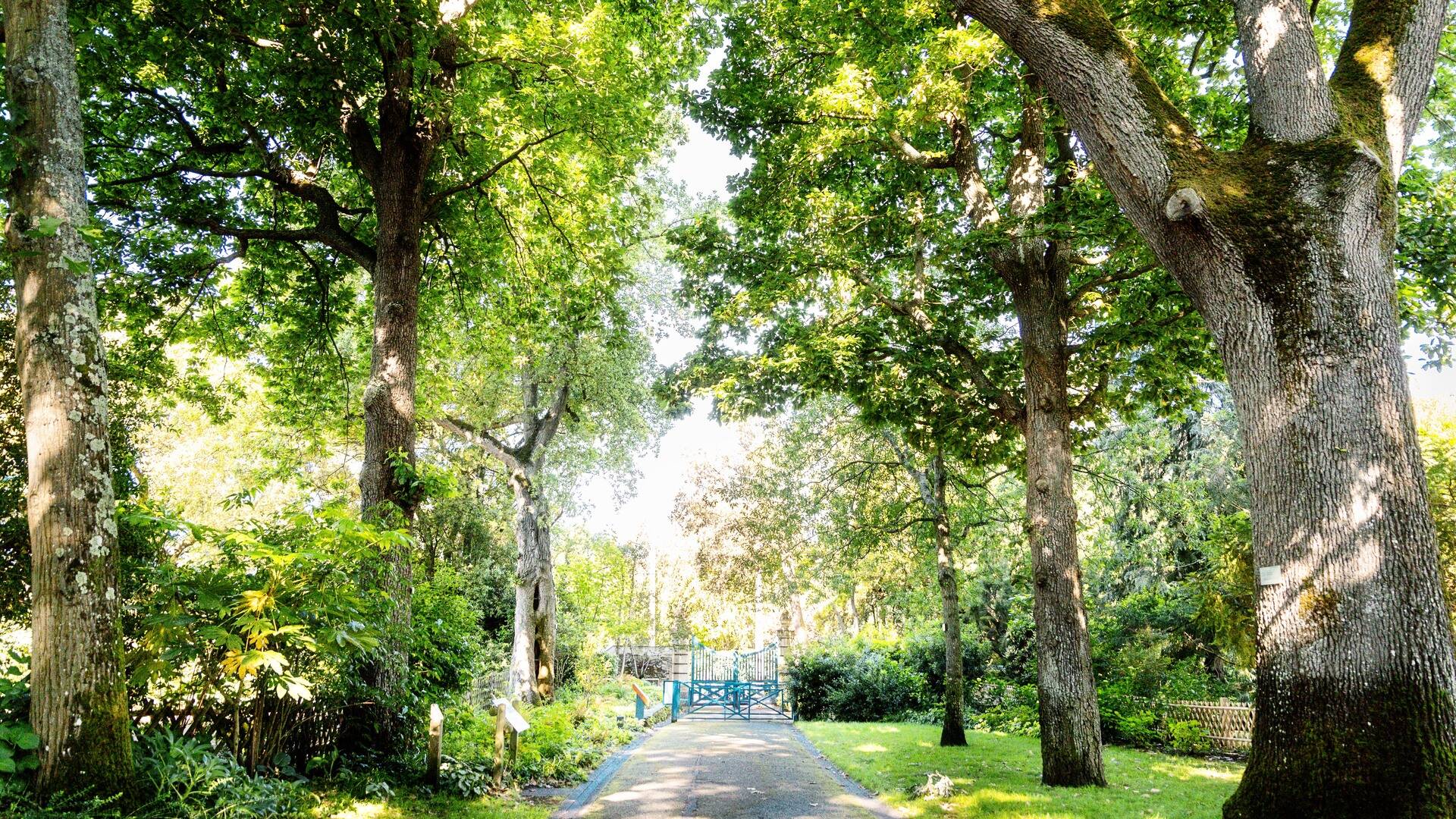 Entrance to the arboretum