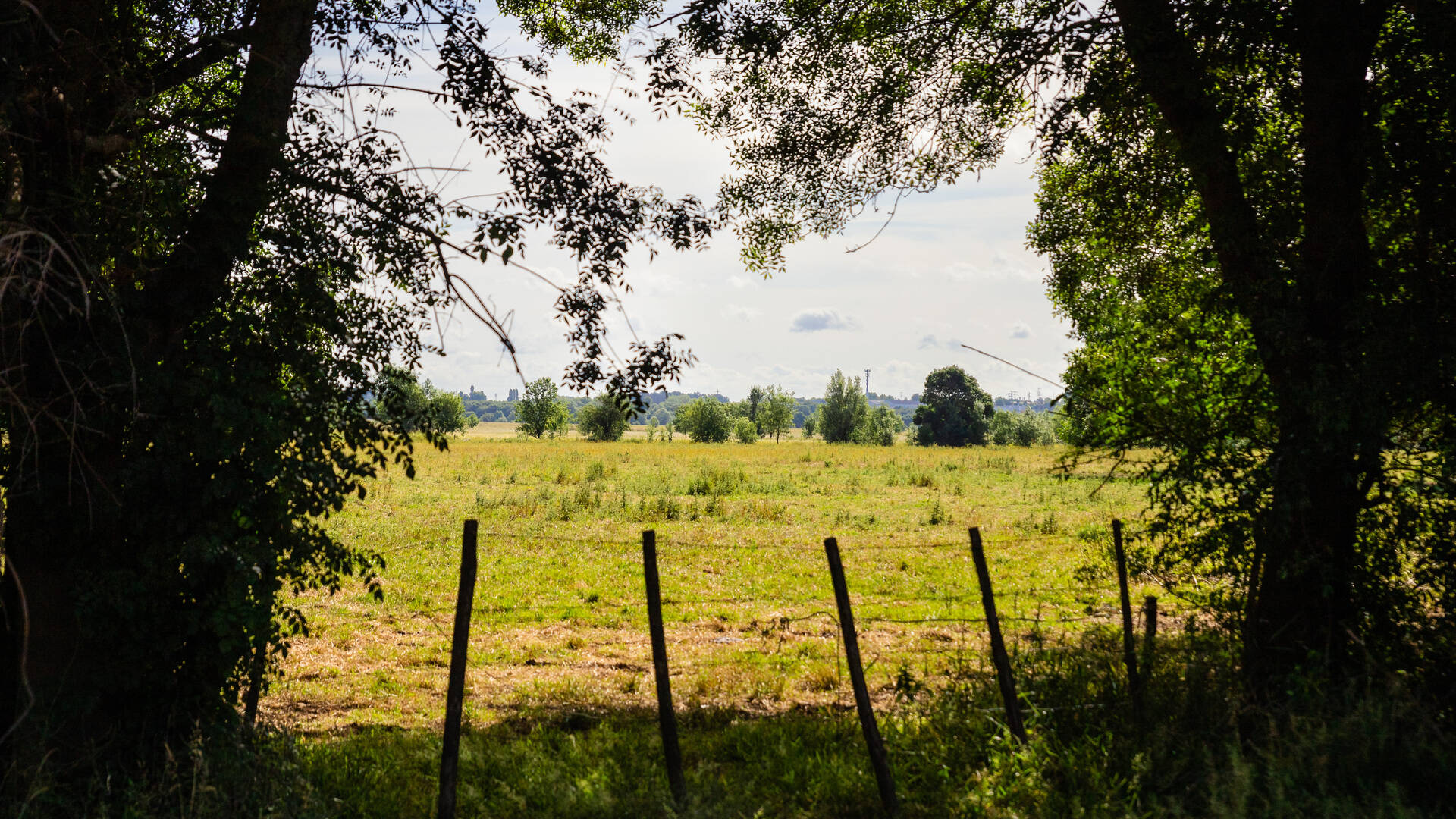 View of meadows of île Saint-Aubin