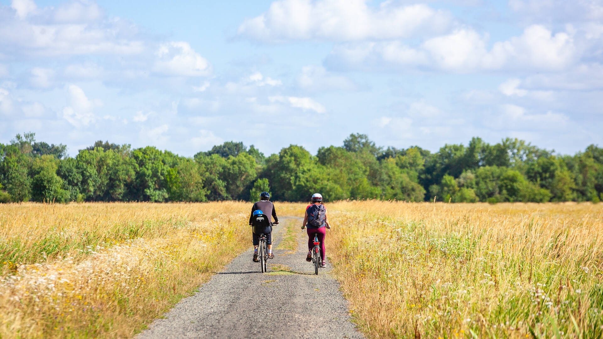 Bike ride on the paths of île Saint-Aubin