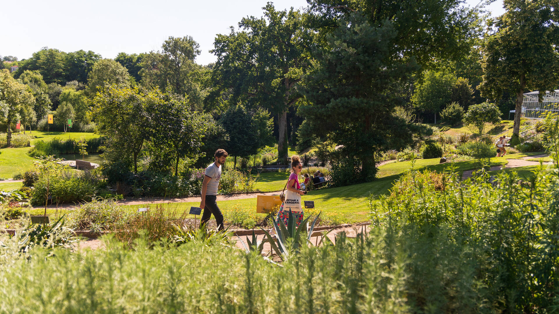 Couple walking in the garden