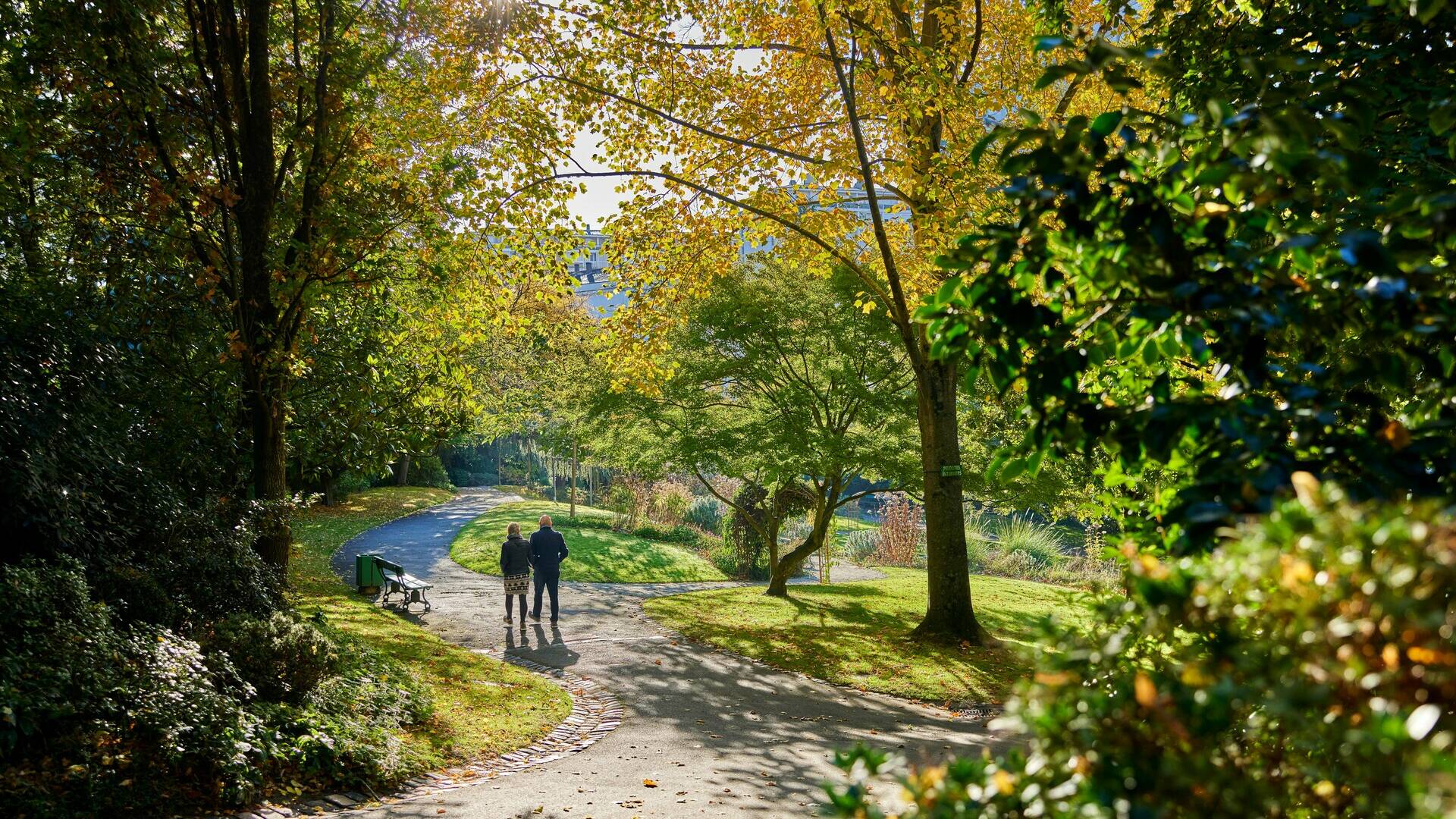 Two people walking in the alleys of the jardin des plantes in the fall