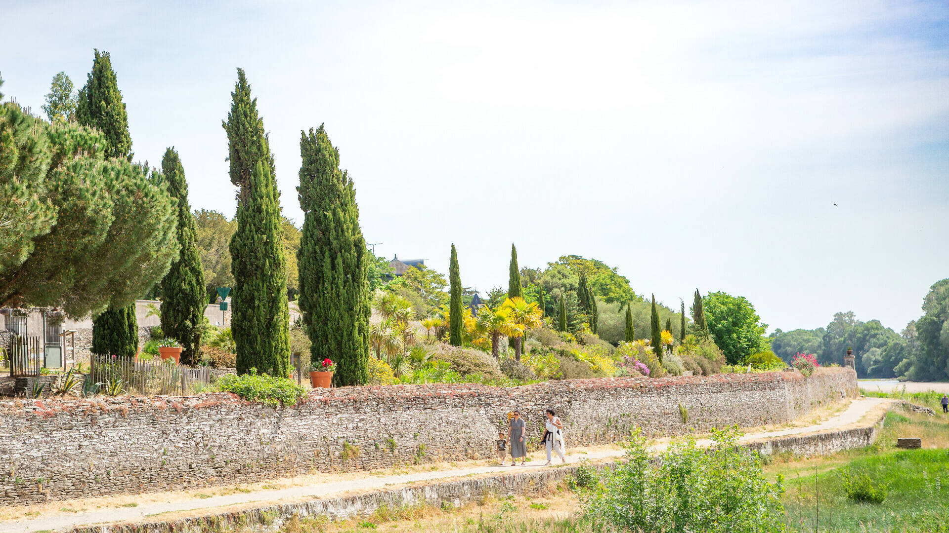 Jardin méditerranéen