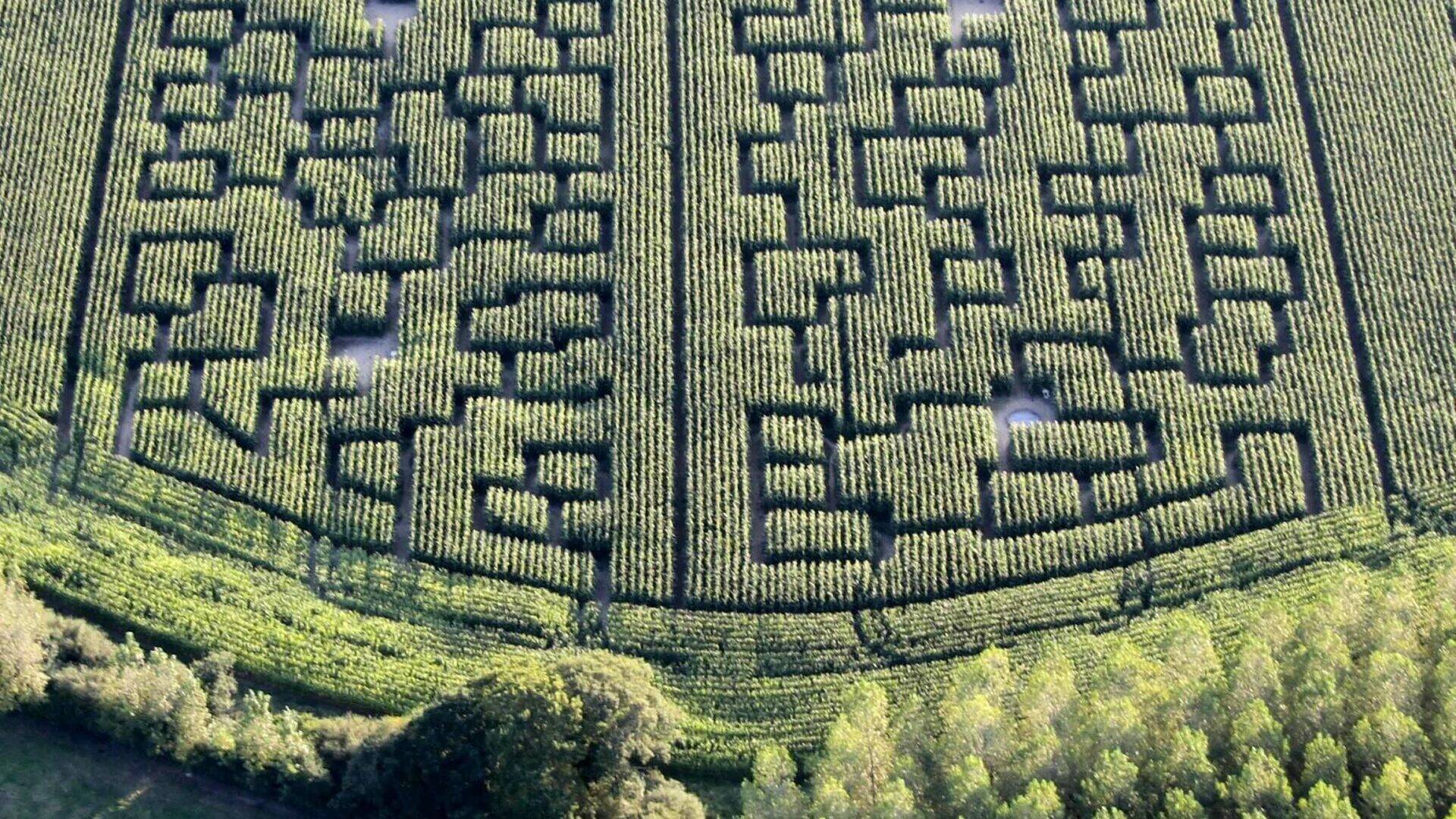 Pop corn Labyrinth