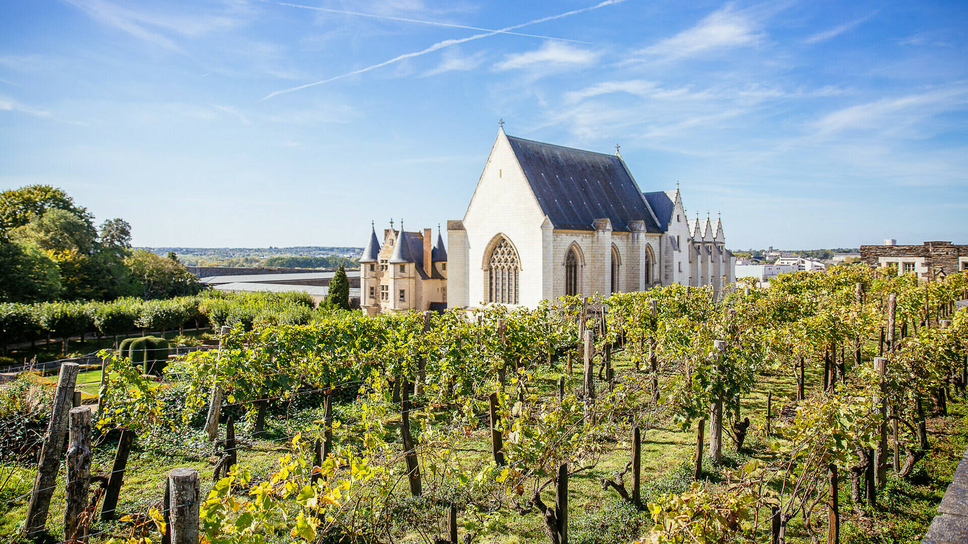 Wide shot of the vineyards and chapel 