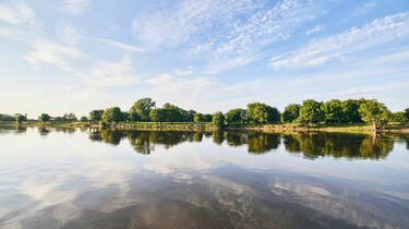 The banks of Loire