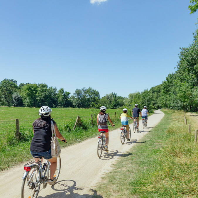 Family bike ride in the nature