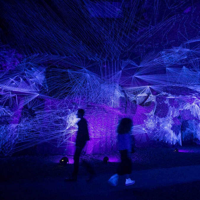 Light and sound in purple tones in the Ackermann cellars