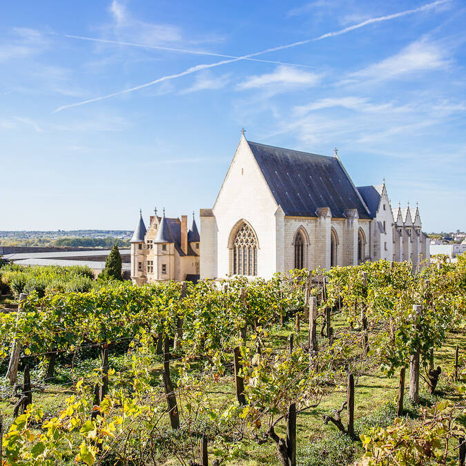 Château d'Angers - France © Les Conteurs