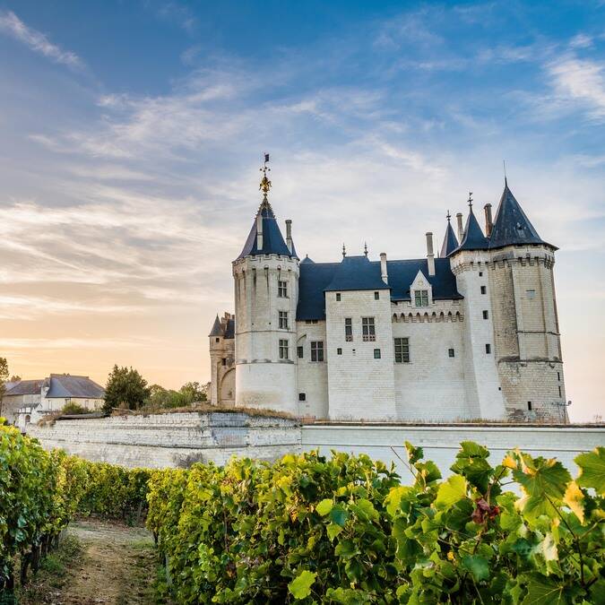 Wide shot of the vineyards and the Château de Saumur