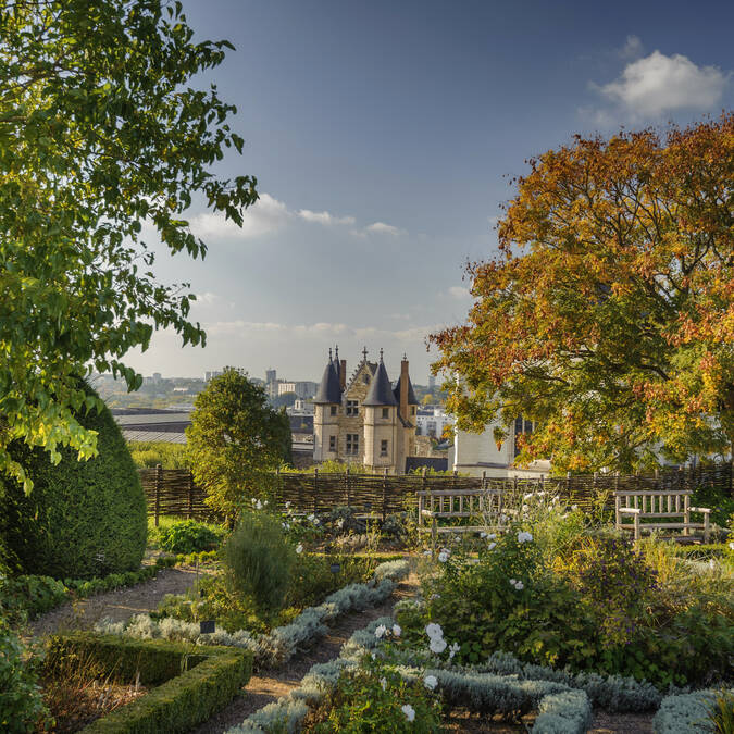 Visit Angers and its castle 