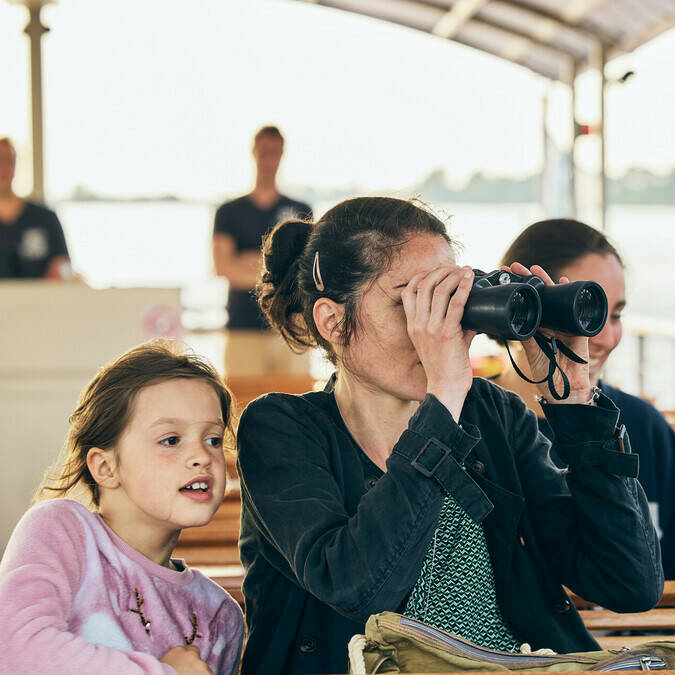 Wildlife observation during a cruise