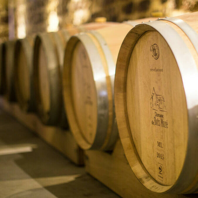 Wine tasting at Domaine du Bois Mozé © Pierre le Targat