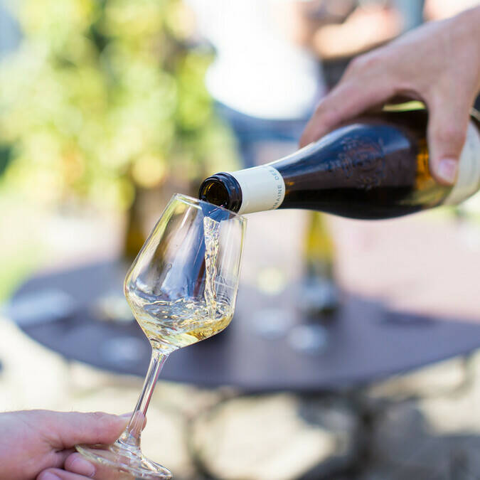  Wine tasting at Domaine des Deux Moulins © Pierre le Targat