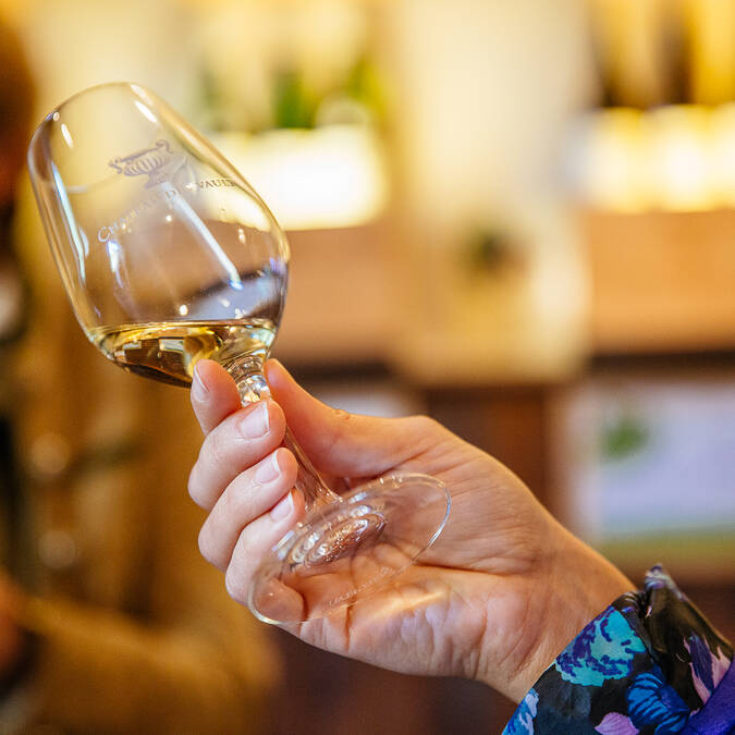 Wine tasting at Domaine du Closel © Les Conteurs