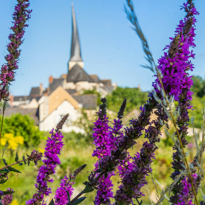 Church of Baugé en Anjou