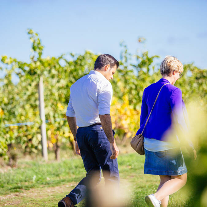 Route des vins de la Loire © Les Conteurs