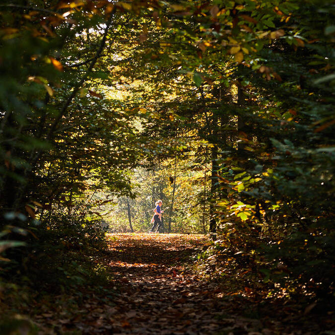 Coureuse dans la lumière, dans le parc de Pignerolle, à travers les allées d'arbres sombres