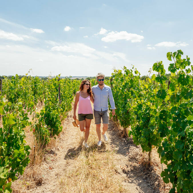 Découverte du vignoble en couple